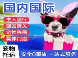 承德普宁空运地址国际宠物托运 【国